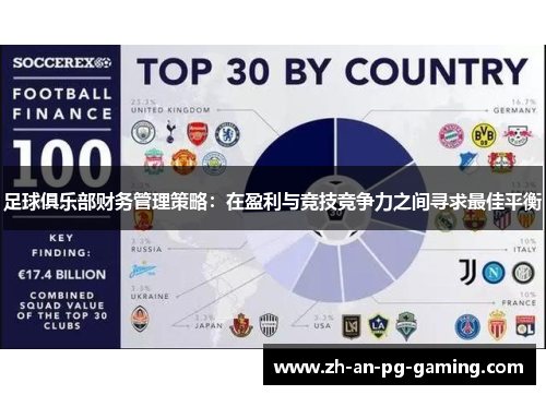 足球俱乐部财务管理策略：在盈利与竞技竞争力之间寻求最佳平衡