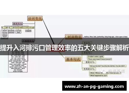 提升入河排污口管理效率的五大关键步骤解析