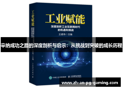 辛纳成功之路的深度剖析与启示：从挑战到突破的成长历程